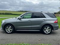 MERCEDES-BENZ M CLASS
